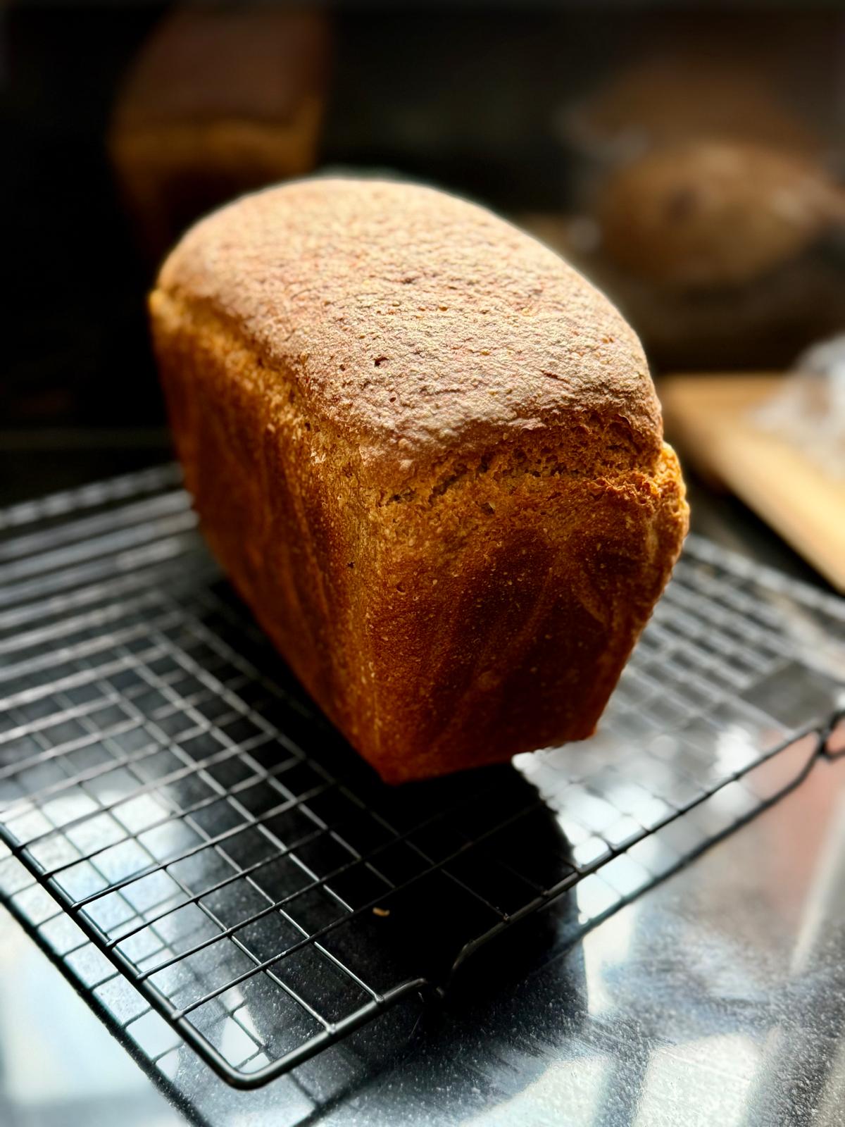 Hearty Rye Bread